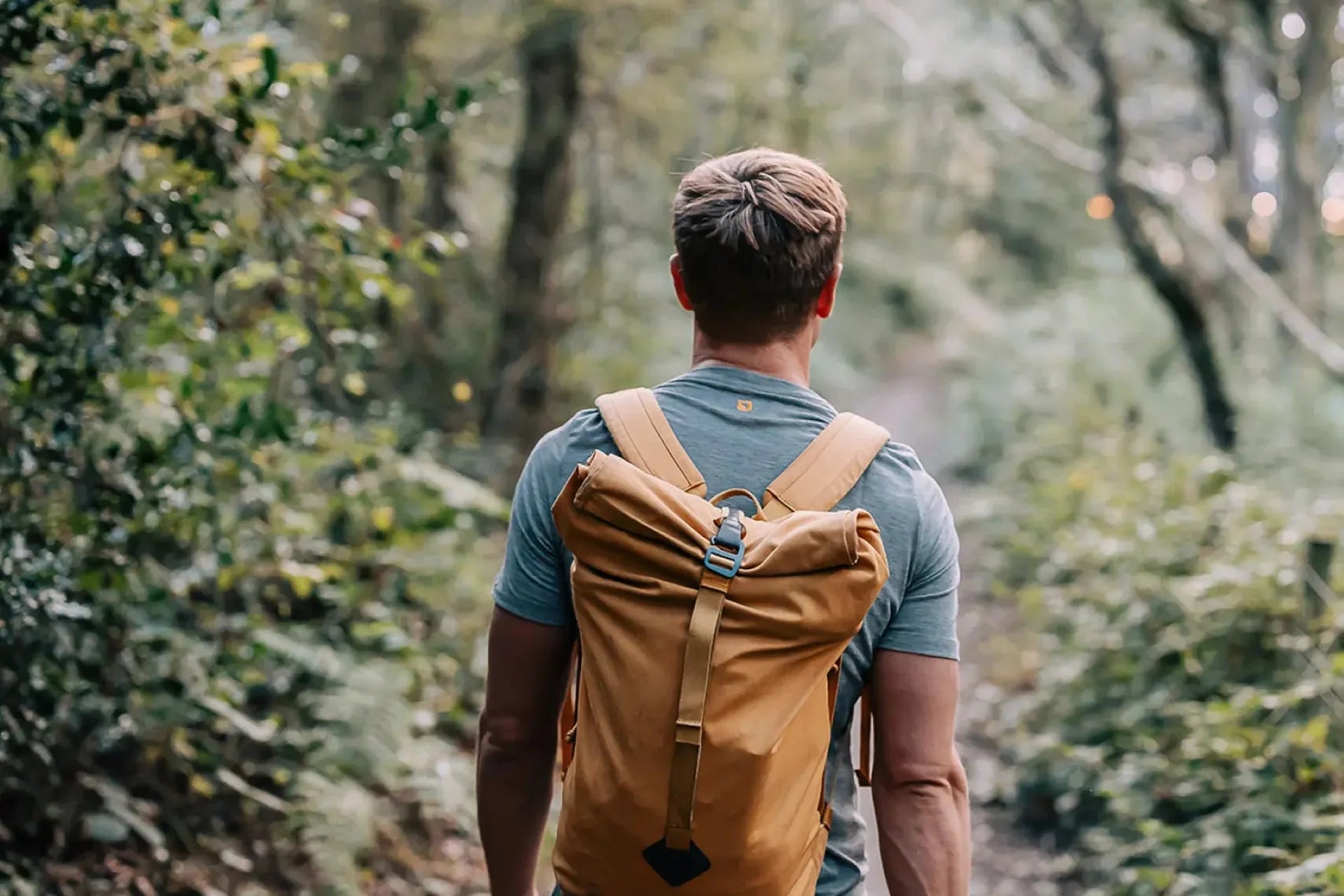 An introduction to this journal